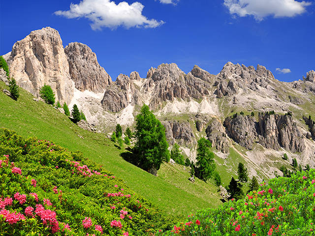 val di fassa dolomiti canazei